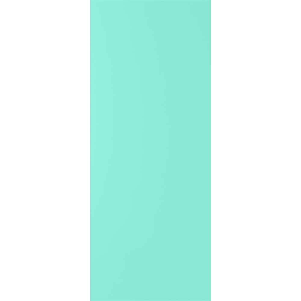 SOLID BLOCK DOOR (P/G)