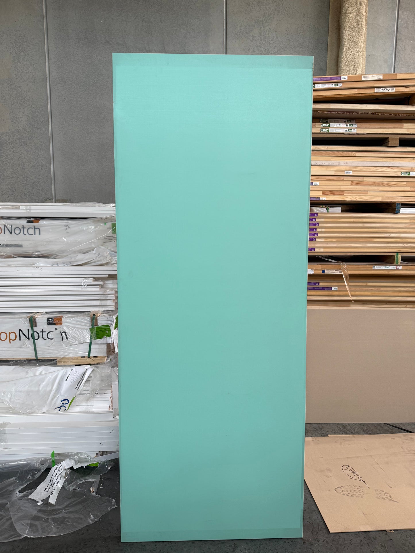 HOLLOW P.G DOOR - CLEARANCE