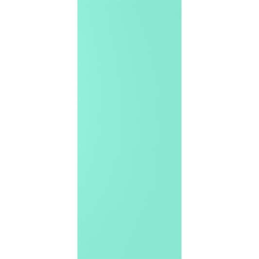 SOLID BLOCK DOOR (P/G)