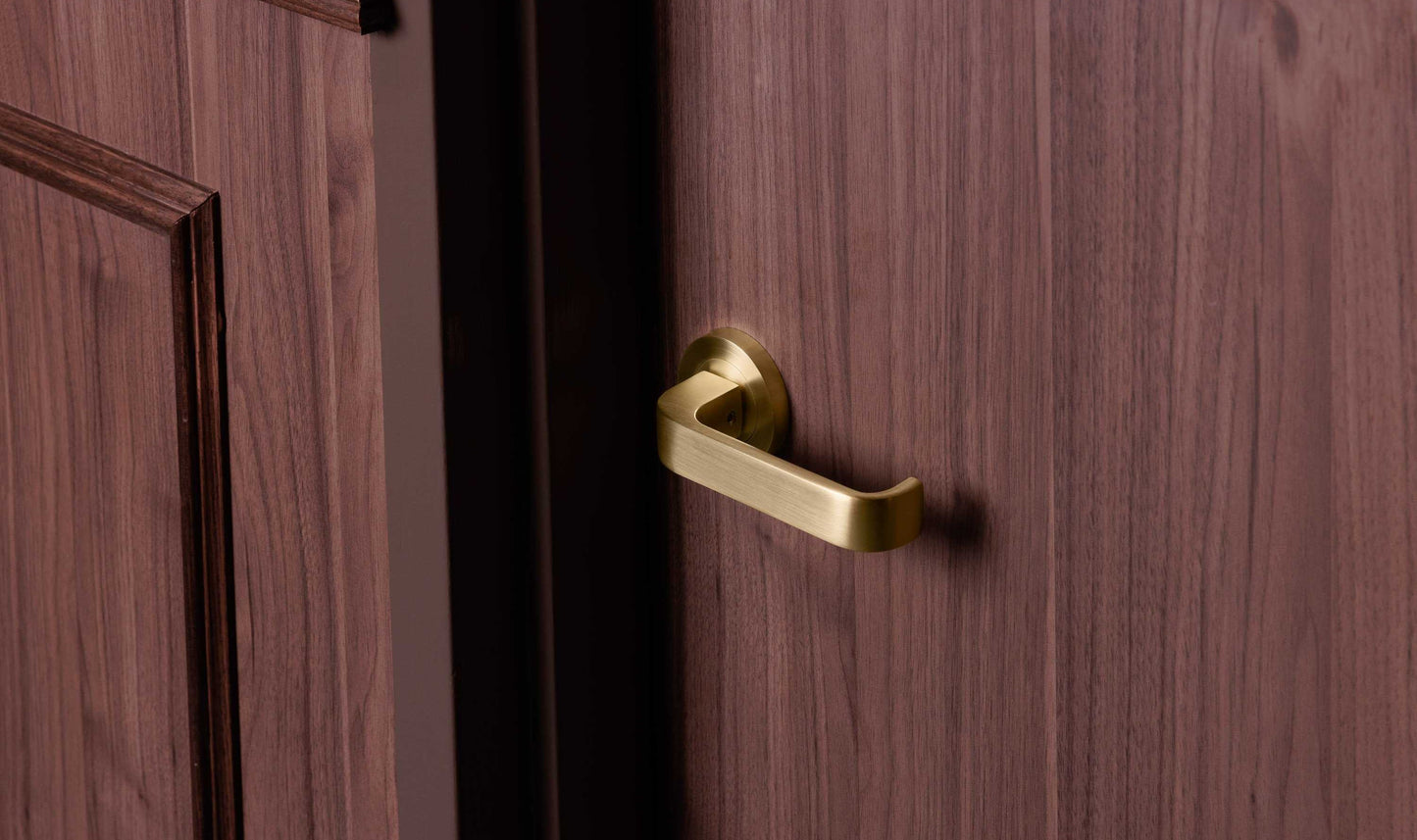 Zanda Door Handle - Streamline