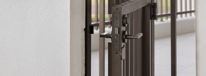 Zanda Door Handle - Epic