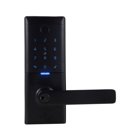 Gainsborough Mode Smart Entrance Lock - Black