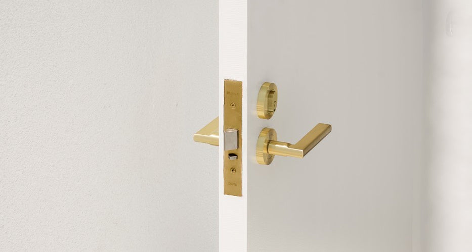 Zanda Door Handle - Epic